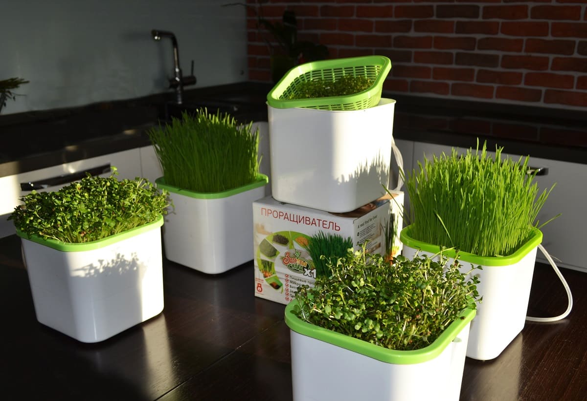 prorashchivatel-zdorovya-klad (15) prorashchivatel-zdorovya-klad (15).jpg