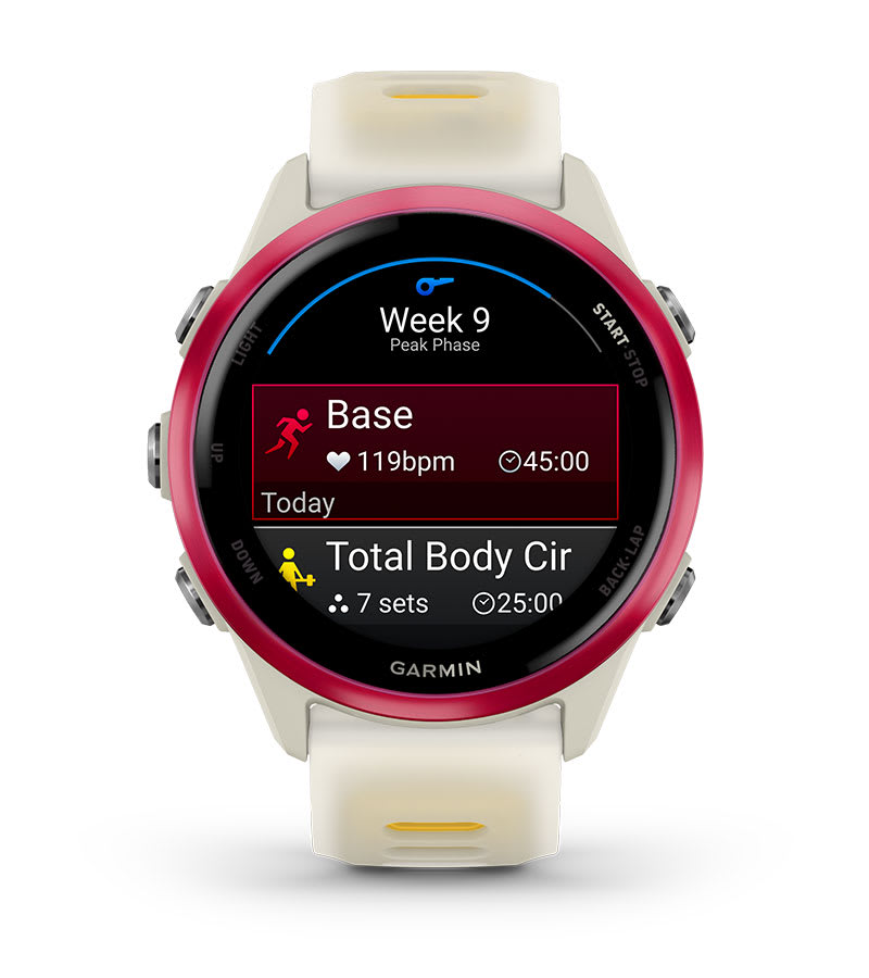 Умные часы Garmin Forerunner 570 - 42 мм сланцево-серый алюминий с черным ремешком: GARMIN COACH