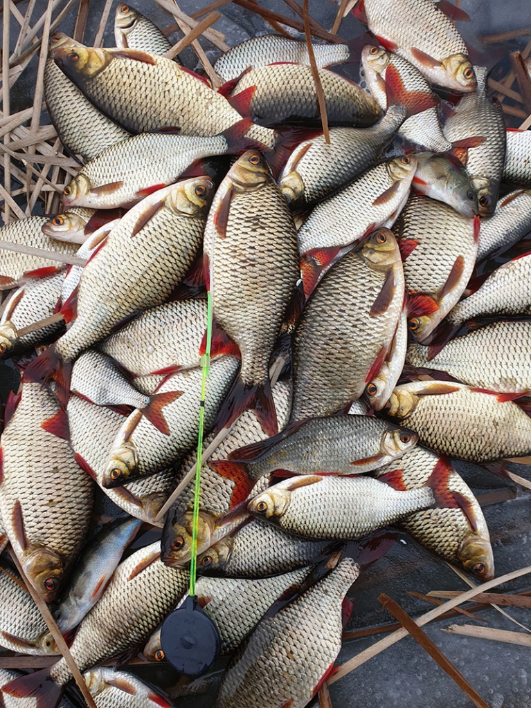 Комплекты для зимней рыбалки