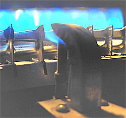y5654654.jpg