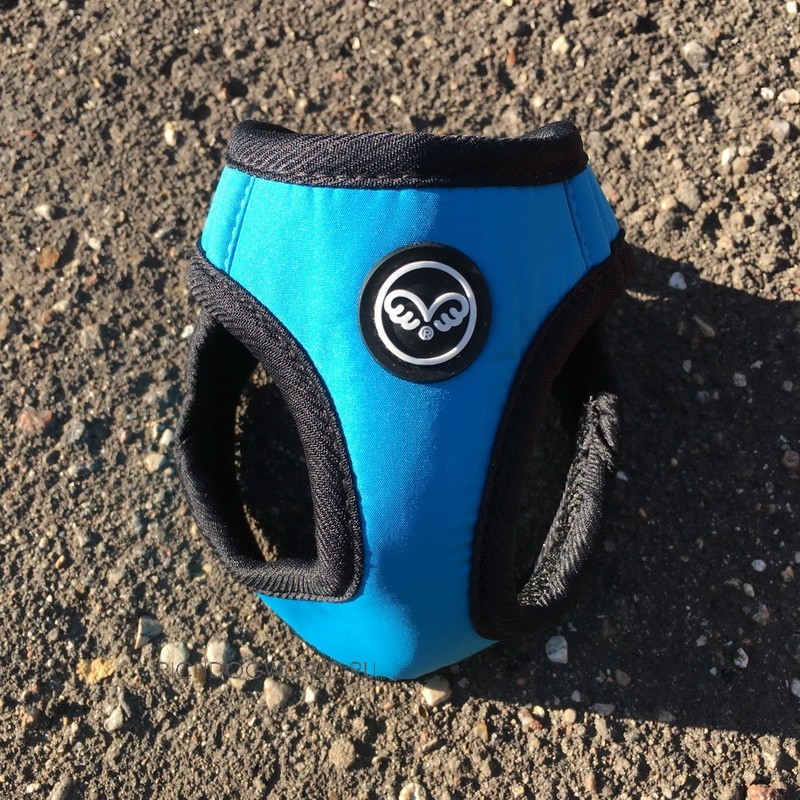 img_1392 img_1392.jpg