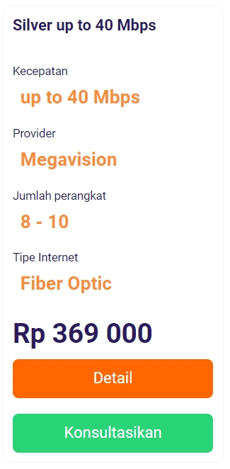Paket Silver up to 40 Mbps