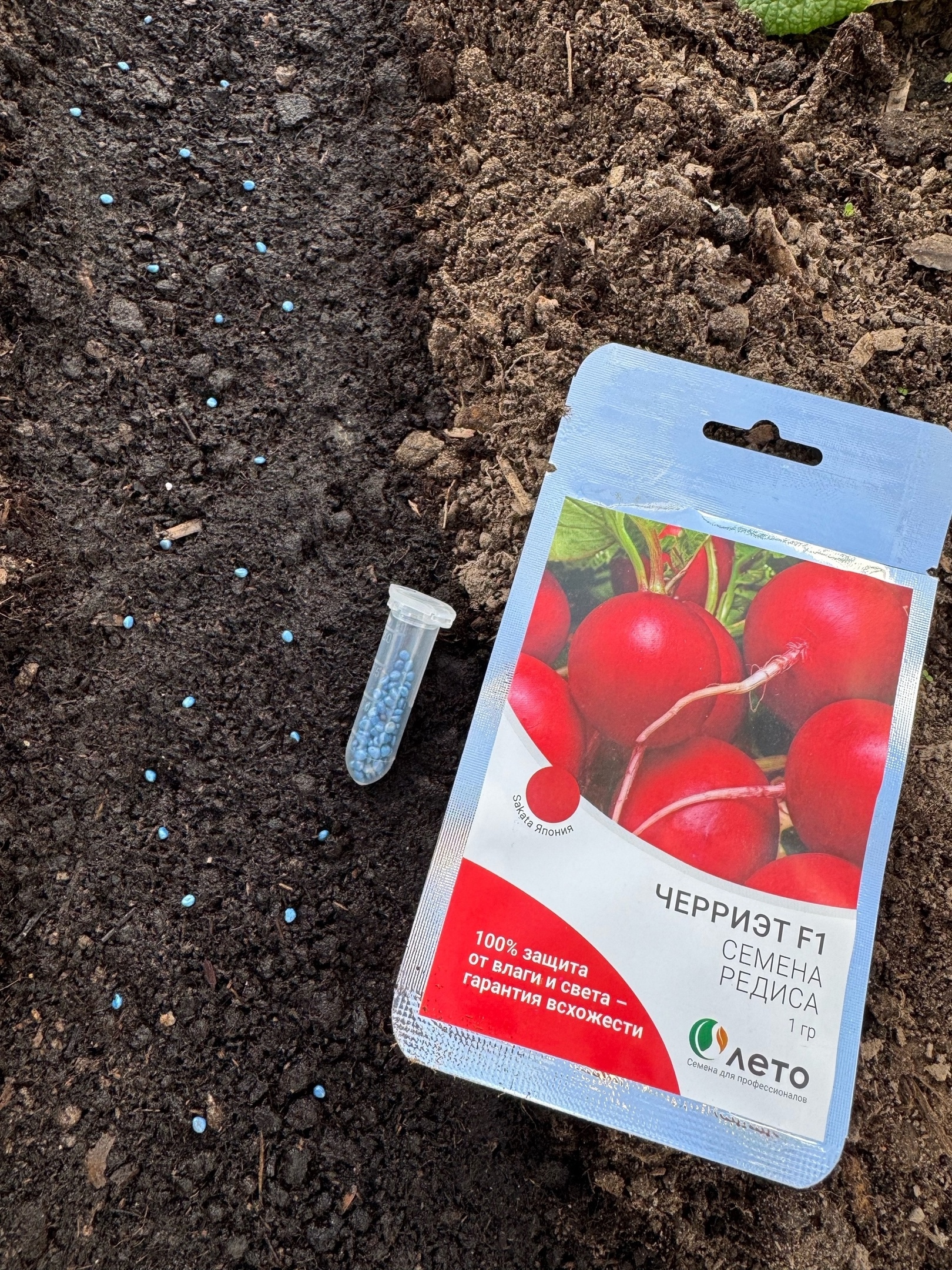 SN7Y4wAzDKTerBU718xGj_XHDpXwATuJXmAHz3nldH09-mCTkHAivNj25JEABFsMiFA-qXT5mm8XA5pPkn5FKn5R SN7Y4wAzDKTerBU718xGj_XHDpXwATuJXmAHz3nldH09-mCTkHAivNj25JEABFsMiFA-qXT5mm8XA5pPkn5FKn5R.jpg