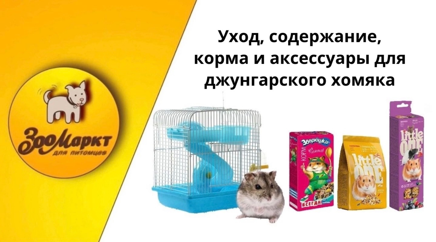 ugjuJ2Q8zYg.jpg