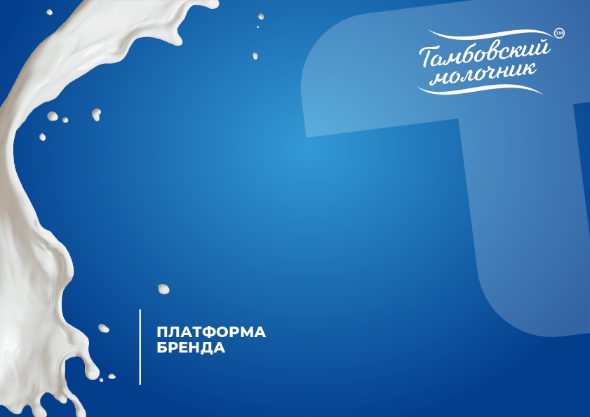 Тамбовский молочник брендбук3.jpg