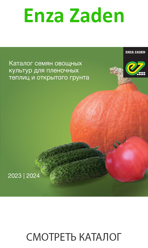 enza_zaden_каталог_2023-2024.jpg