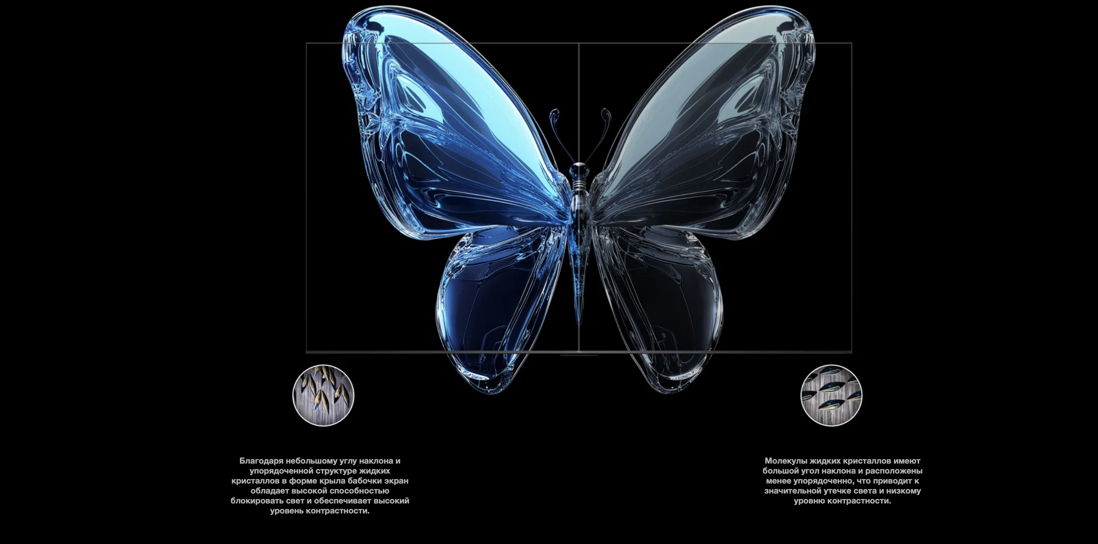 Снимок экрана 2026-02-11 в 16.57.47.png