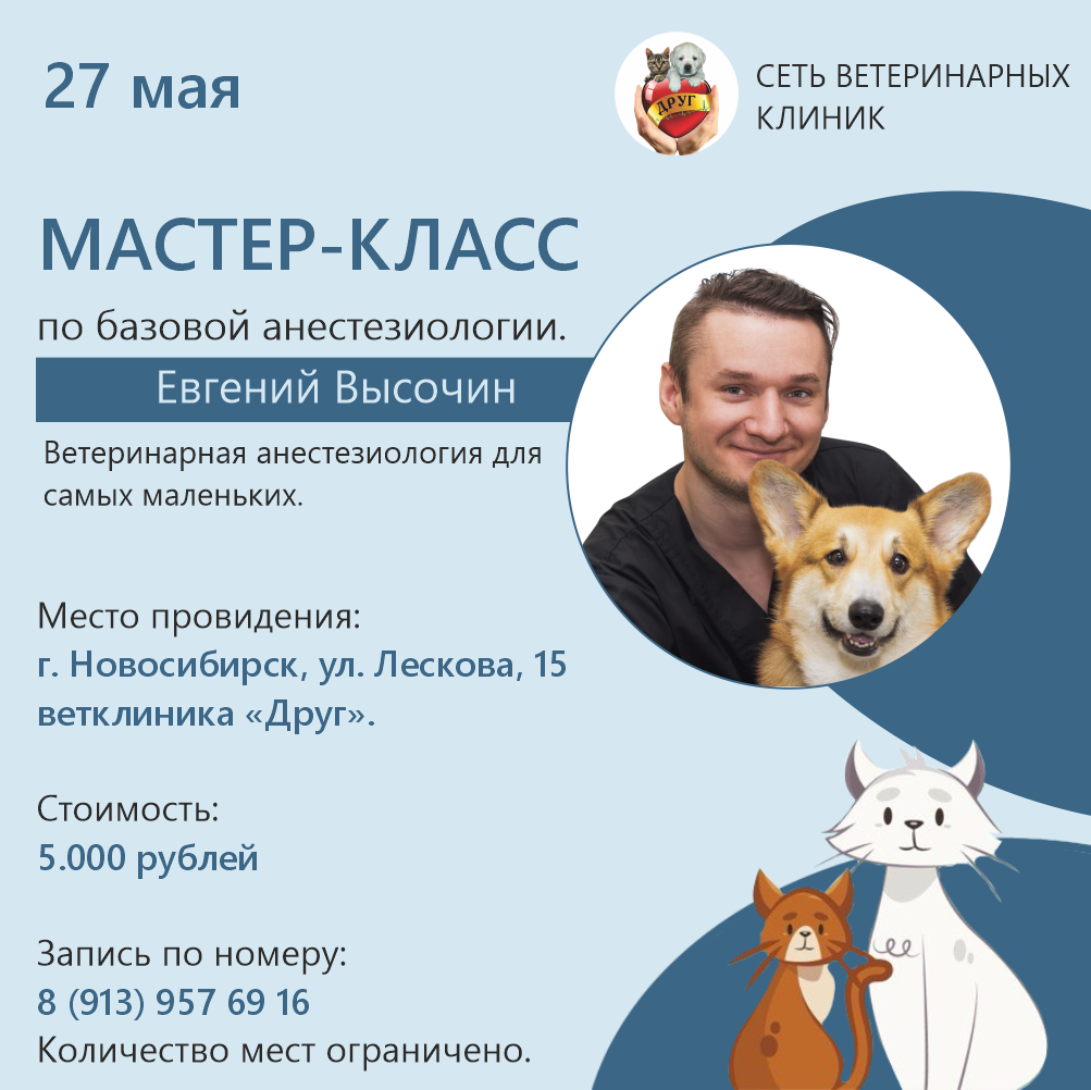 высочин для страницы обучния.png