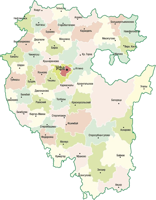 scale_1200 копия.png