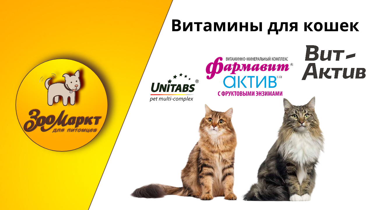 Зачем нужно ухаживать за шерстью кошек, (20).png