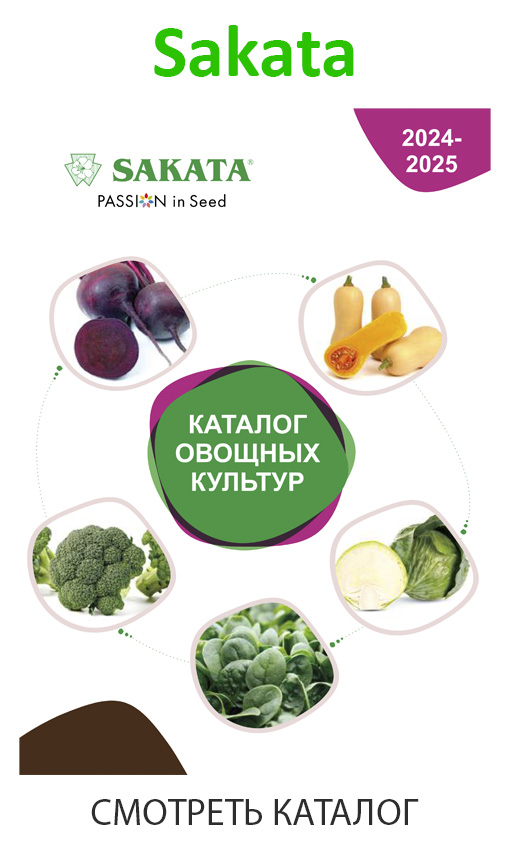 sakata_каталог_2024_2025_1739388316638-1739388322097.jpg
