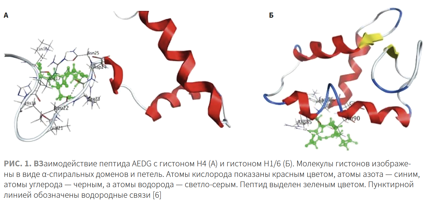 Добрянская КМ 2-2023 (Пептиды)_Рис 1.png