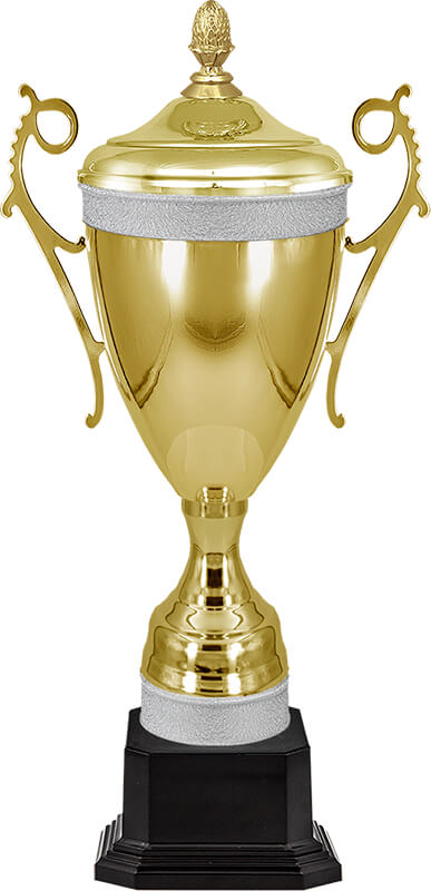 Кубки и медали в Махачкале