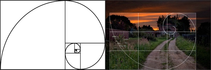 Фотографии в золотом сечении. Принцип золотого сечения фото. Картинки в золотом сечении. Схема золотого сечения фото. Золотое сечение в фотографии схема.