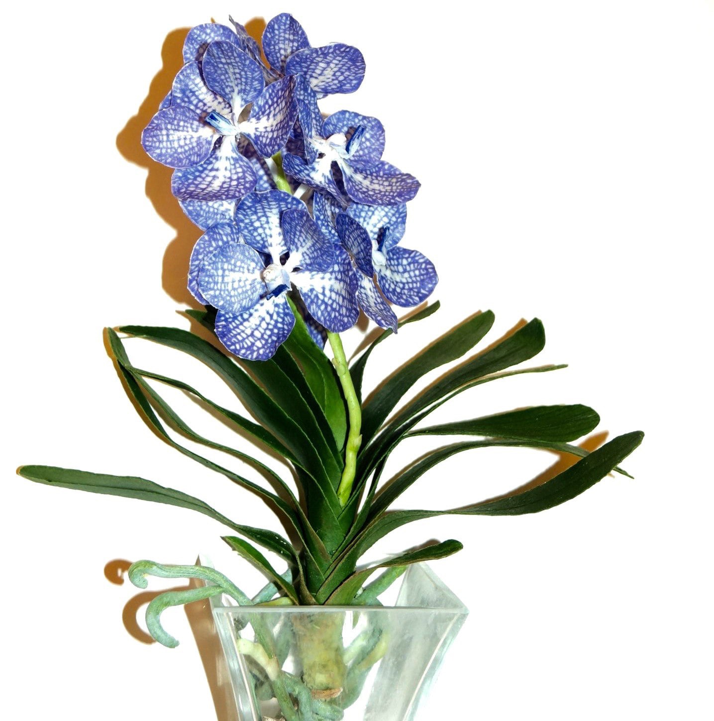 5 марта в 14.00 — онлайн мастер-класс «Орхидея»