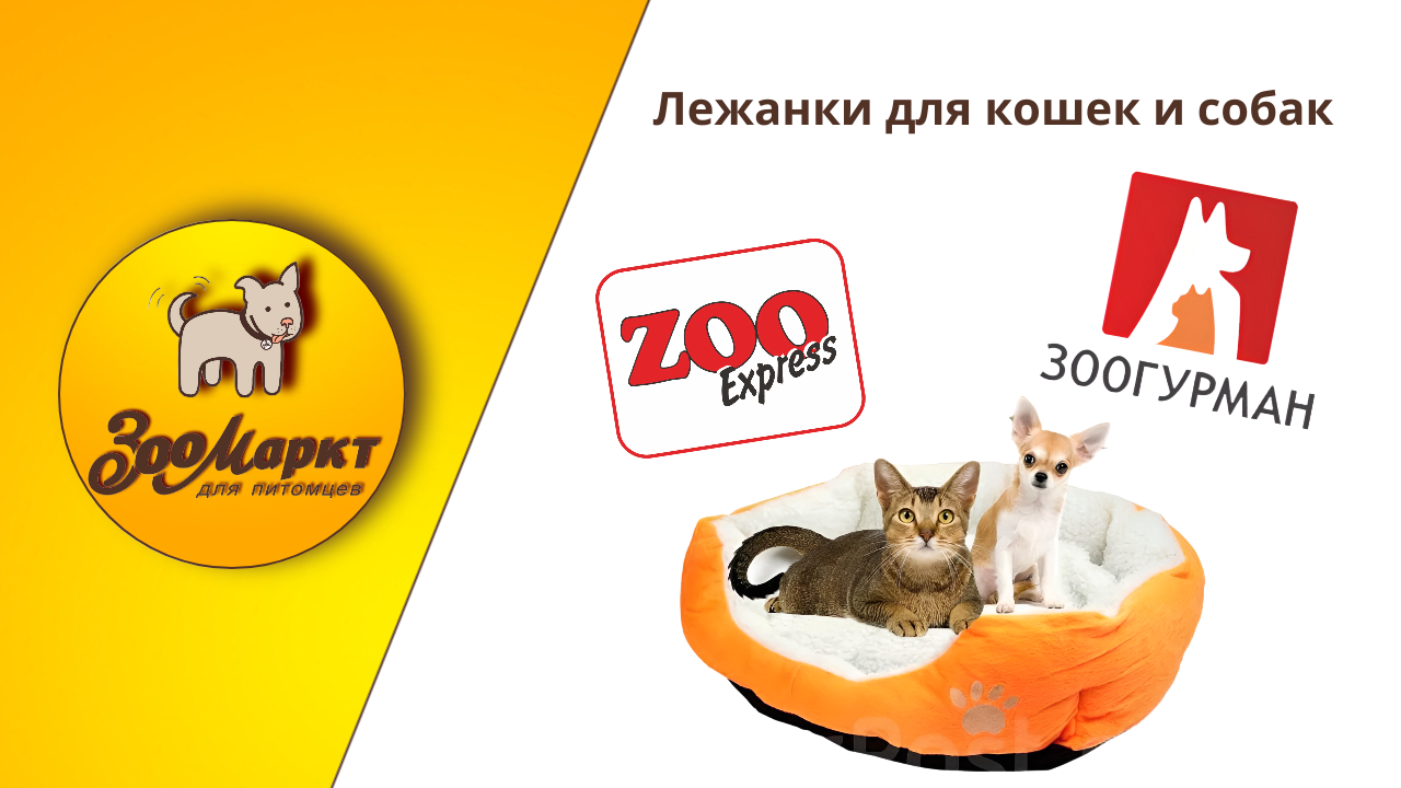 Зачем нужно ухаживать за шерстью кошек, (19).png