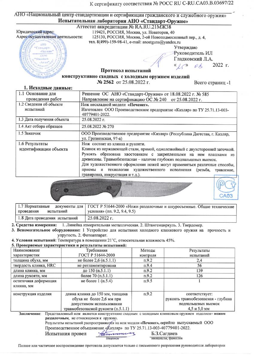 печенег.jpeg