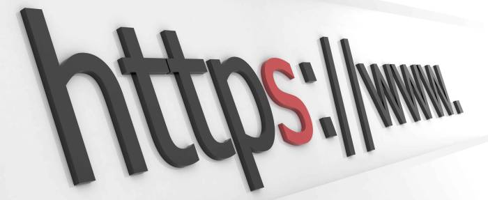 Replica House поддерживает защищенный протокол HTTPS