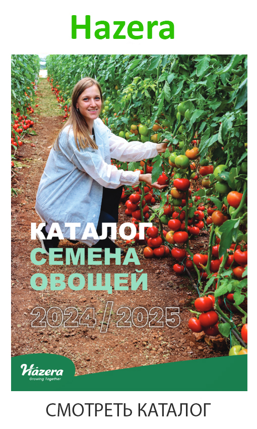 hazera_каталог_2024_2025.jpg