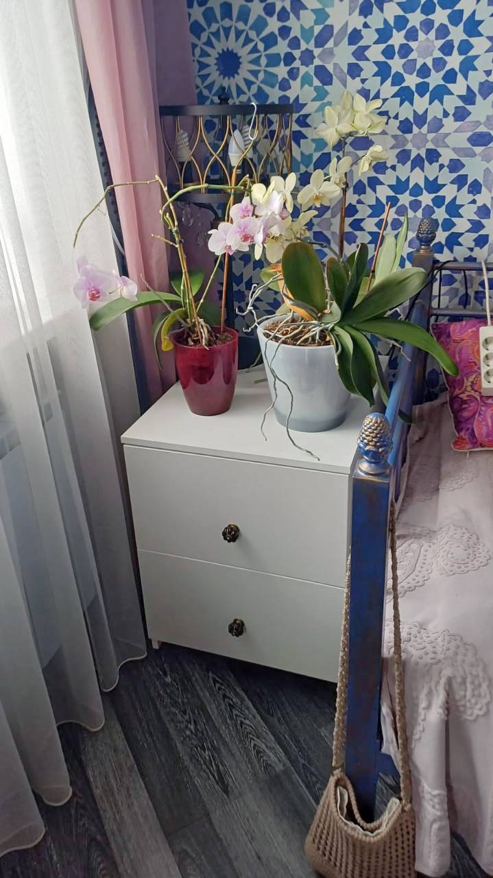 2907 (2) 2907 (2).jpg