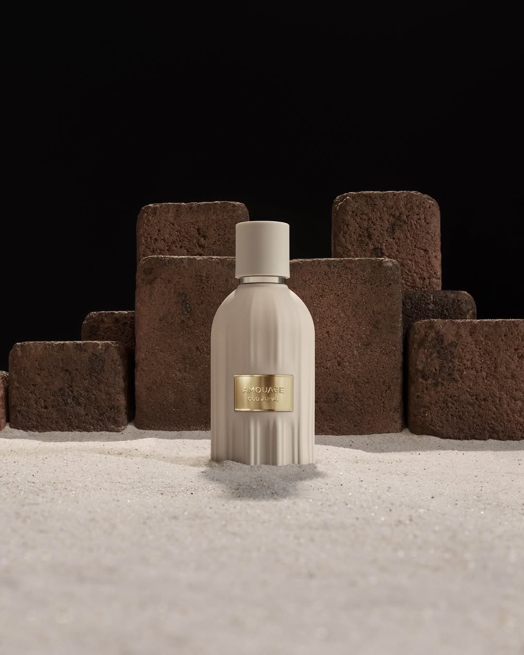 IMG_6343 IMG_6343.JPG