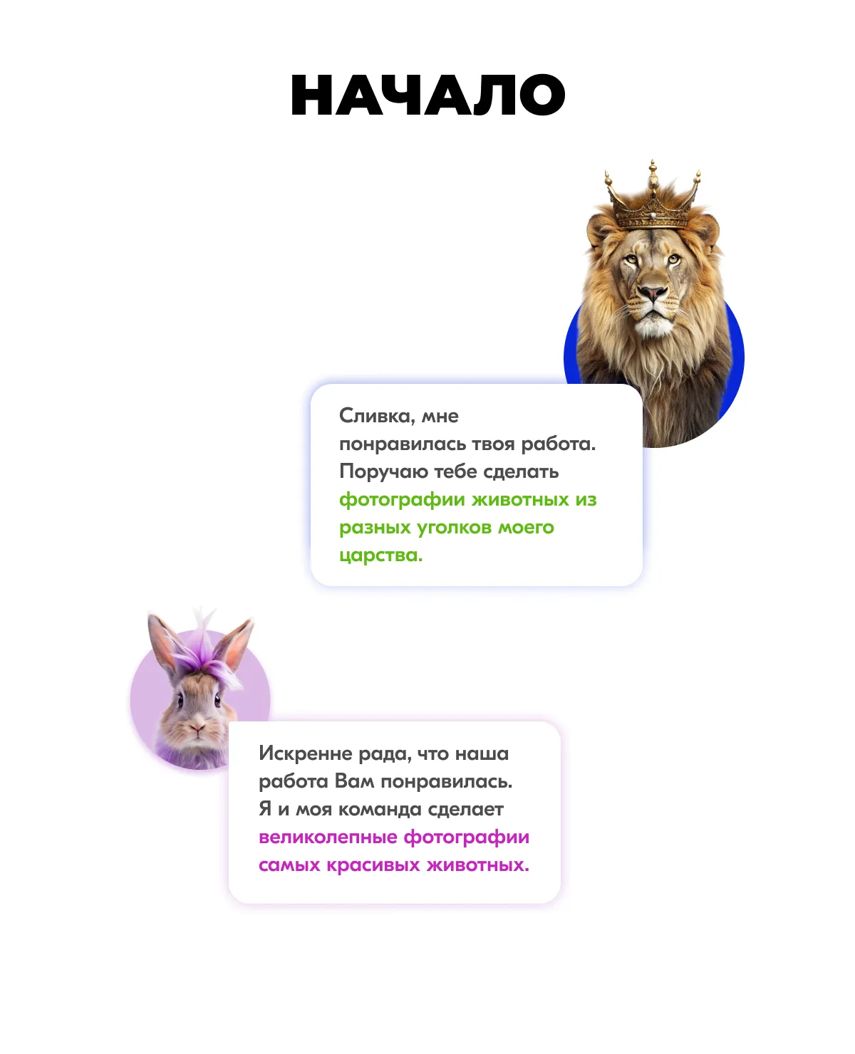 Карты Москвёнок ANIMALS - Функционал прохода в современном и красивом исполнении, которым приятно пользоваться каждый день