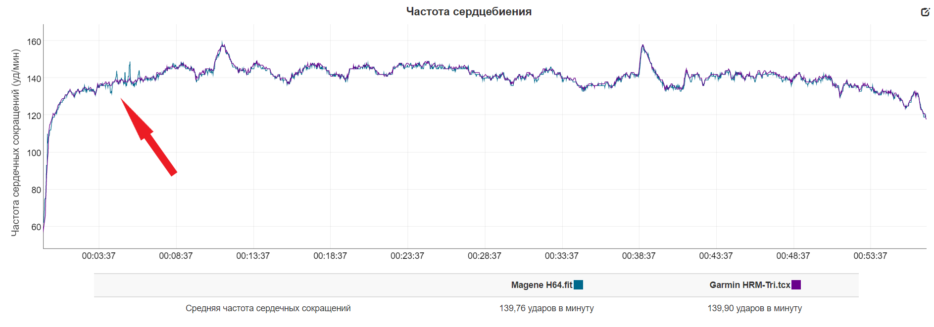 Сравнение точности пульсометров Magene и Garmin