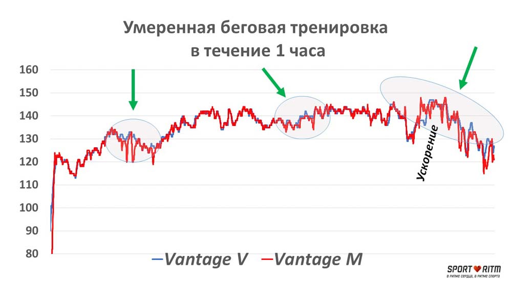 Сравнение Vantage V и Vantage M на беге