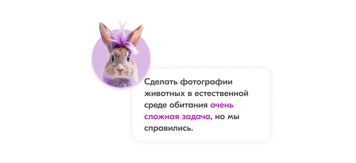 Карты Москвёнок ANIMALS - Удобное отверстие для крепления к ретрактору или ленте без чехлов и громоздких кармашков