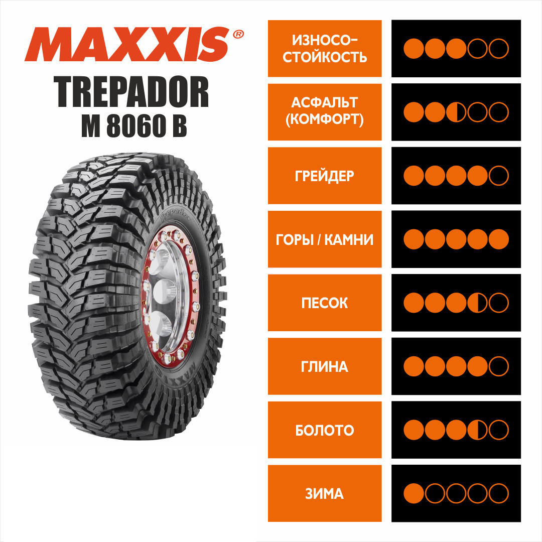 file8153 копия.jpg