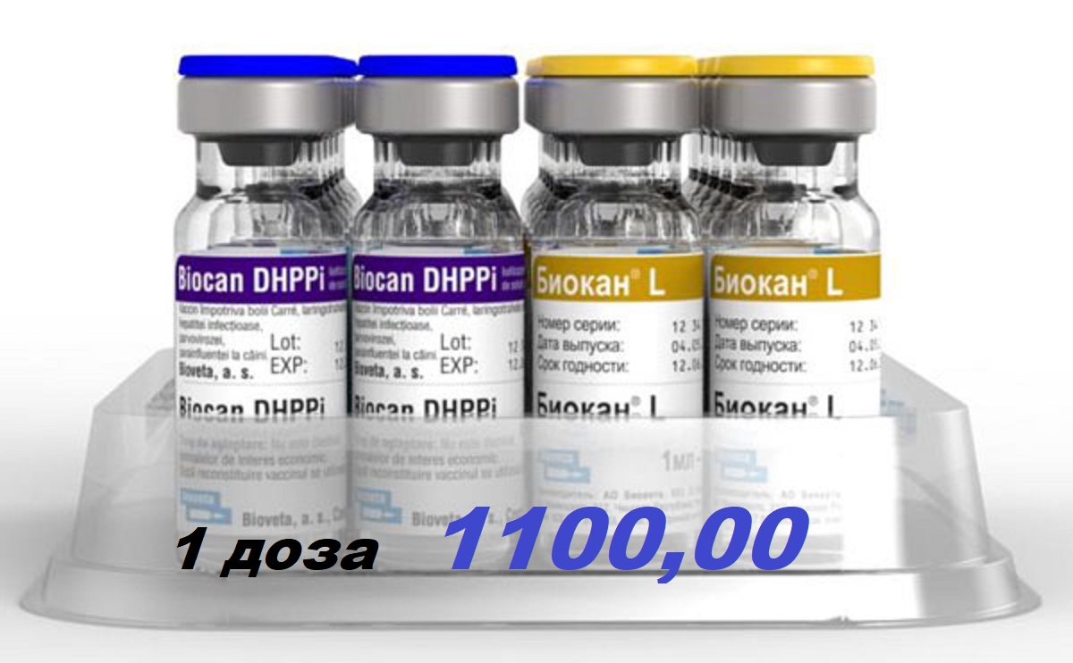 Слайдер Блок 5