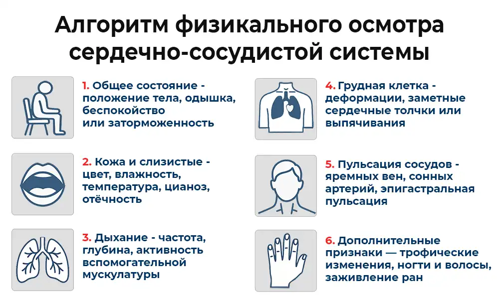 Алгоритм физикального осмотра Алгоритм физикального осмотра