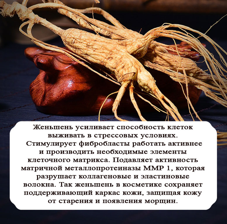 0щшлори.jpg