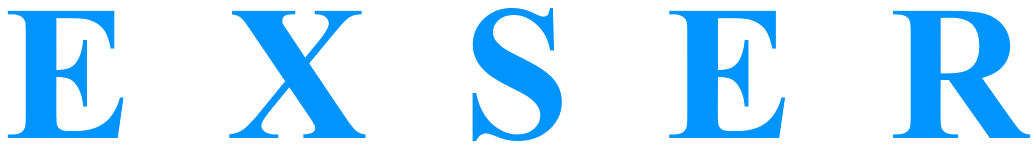 EXSER.RU