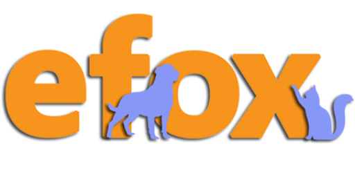 efox.kz