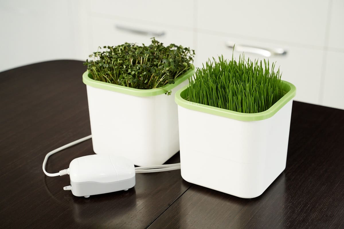 prorashchivatel-zdorovya-klad-belyj-2-h-modulnyj (10) prorashchivatel-zdorovya-klad-belyj-2-h-modulnyj (10).jpg