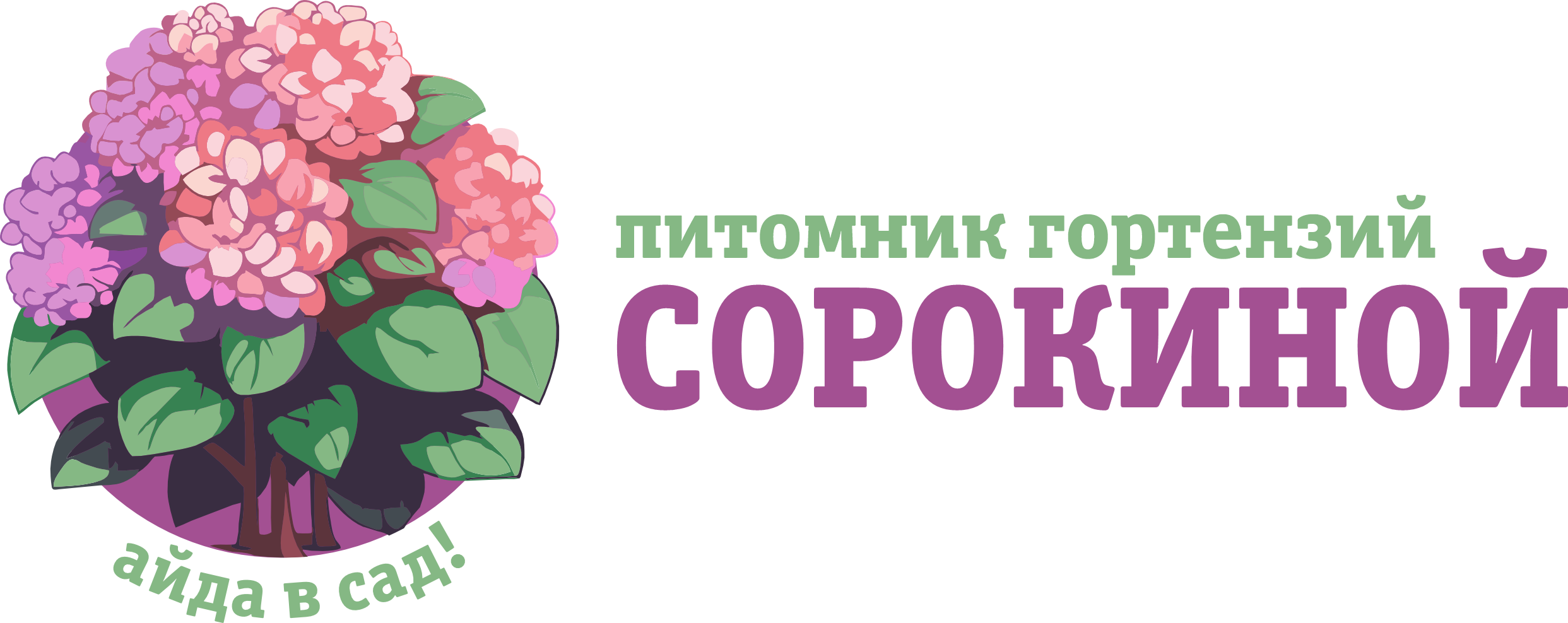 Питомник гортензий СПб и ЛО