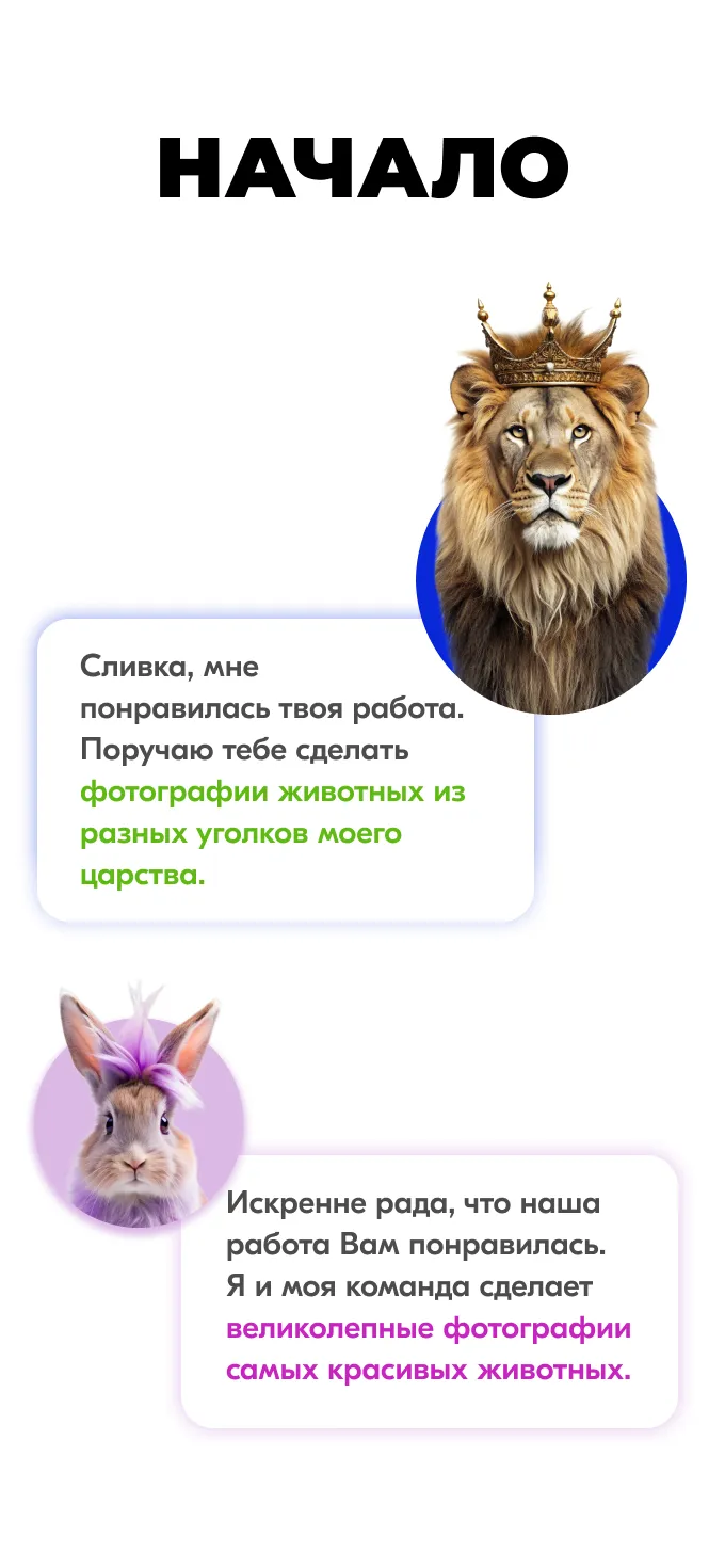Карты Москвёнок DOGS - Функционал прохода в современном и красивом исполнении, которым приятно пользоваться каждый день