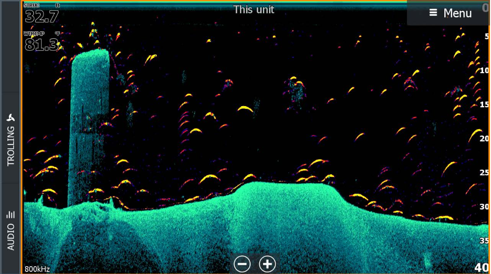 FishReveal в Active Imaging