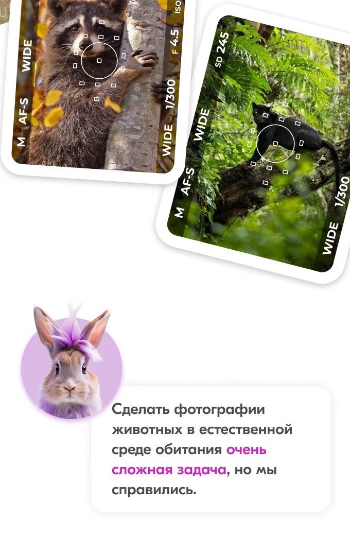 Карты Москвёнок ANIMALS - Удобное отверстие для крепления к ретрактору или ленте без чехлов и громоздких кармашков