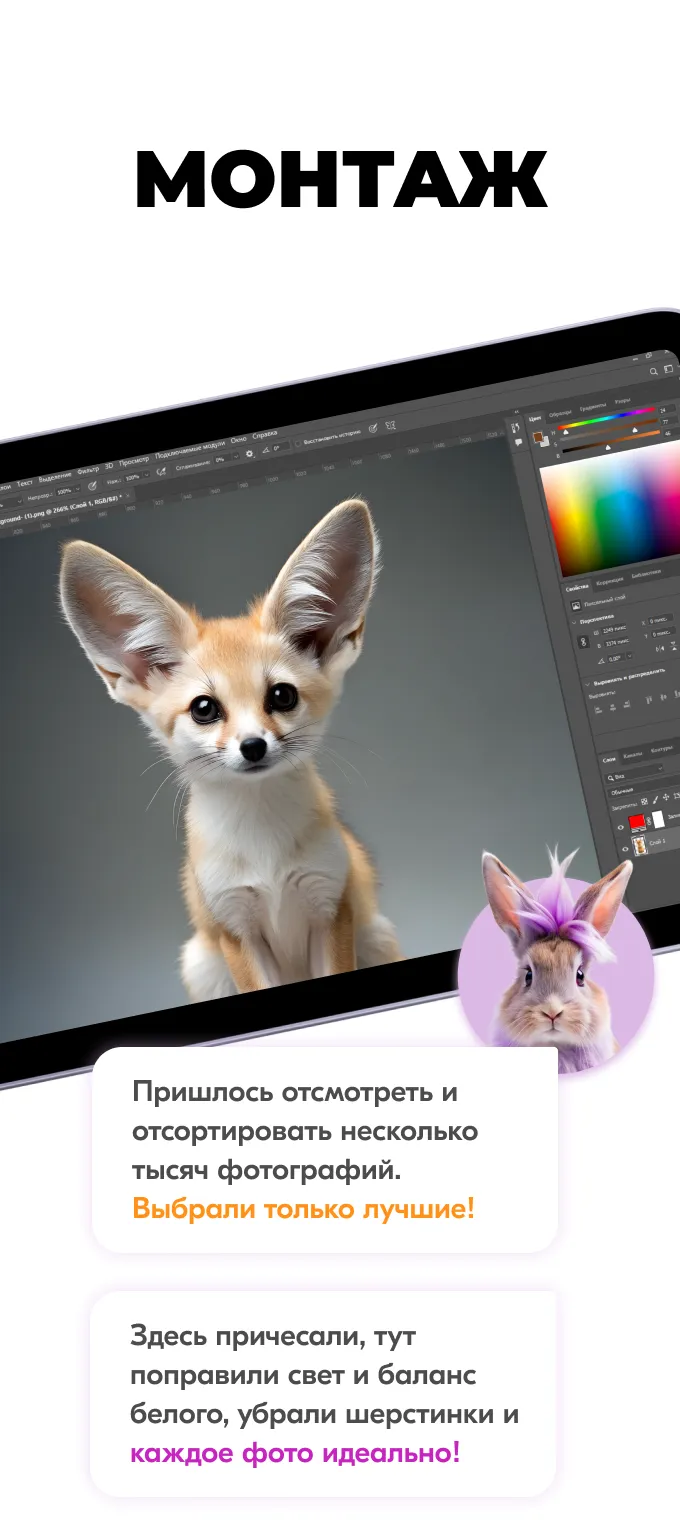 Карты Москвёнок ANIMALS - Сделайте своему ребёнку красивый и практичный подарок, которым он будет пользоваться каждый день
