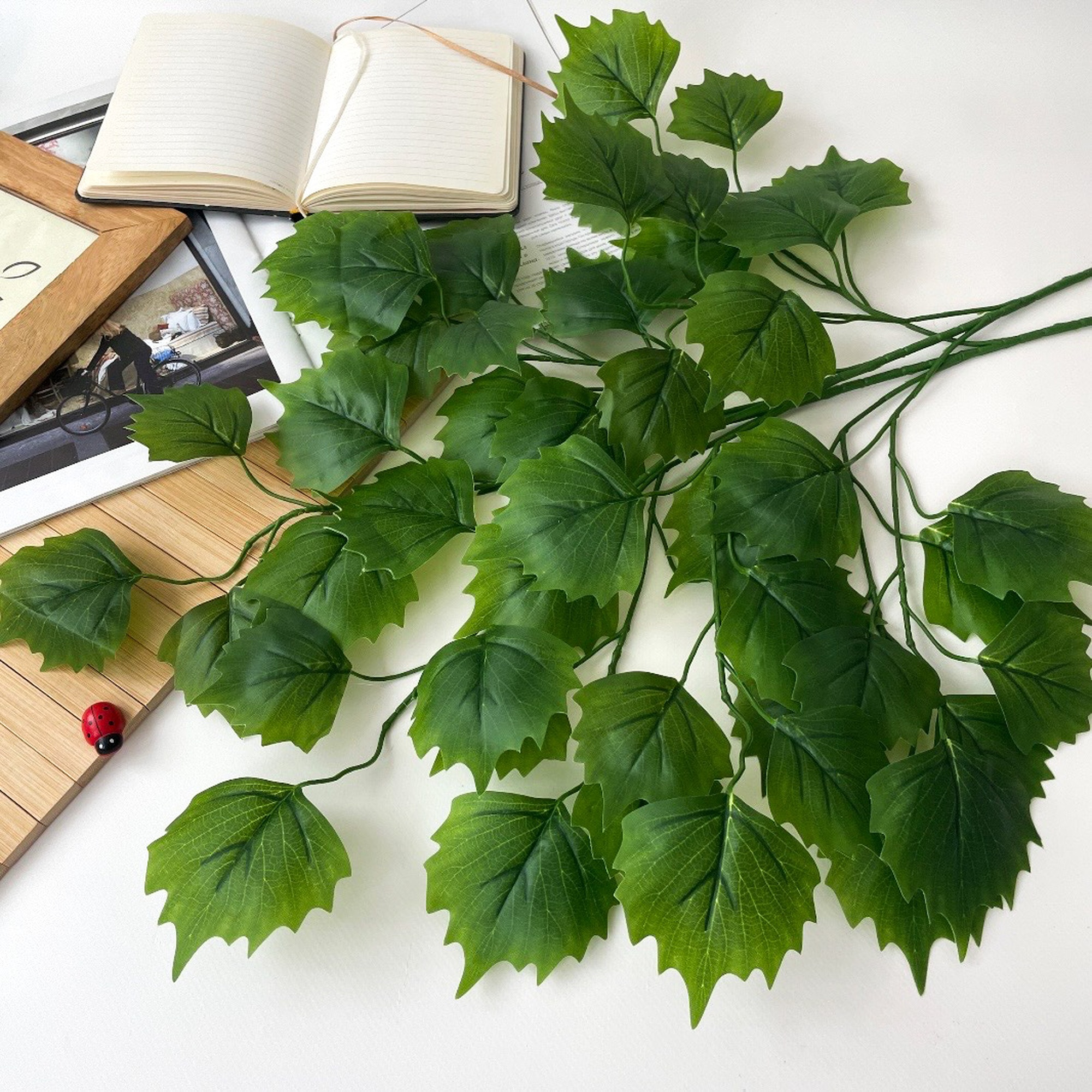 IMG_8088 IMG_8088.jpg