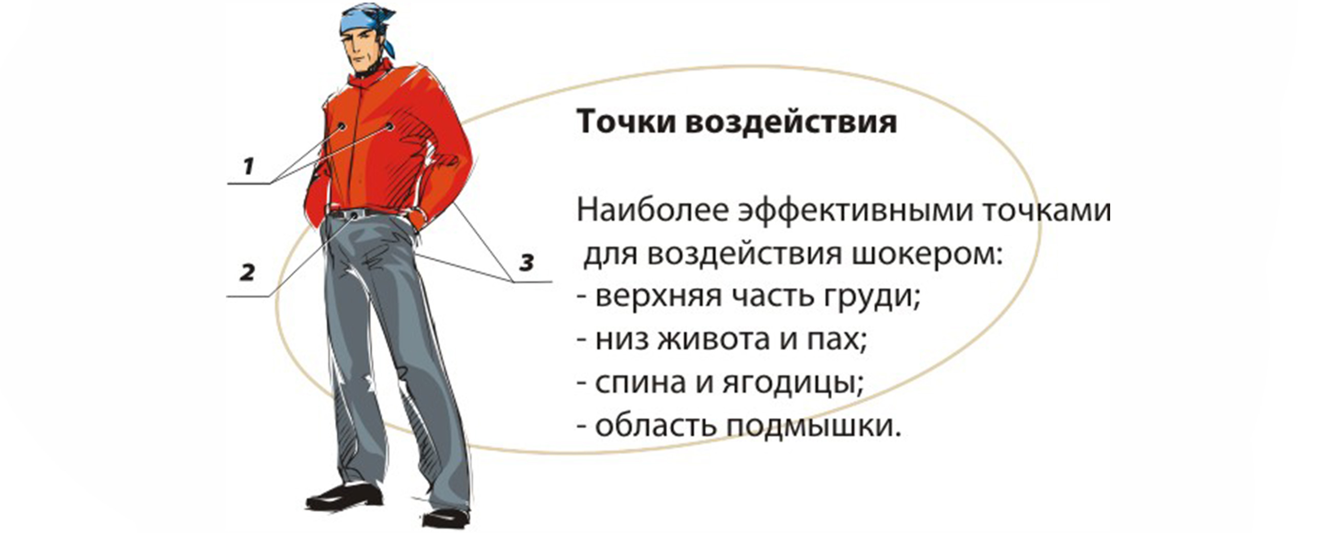 Эффективные точки для электрошокера