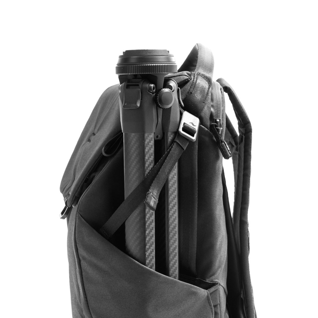 Купить Рюкзак Peak Design Everyday Backpack онлайн с бесплатной доставкой