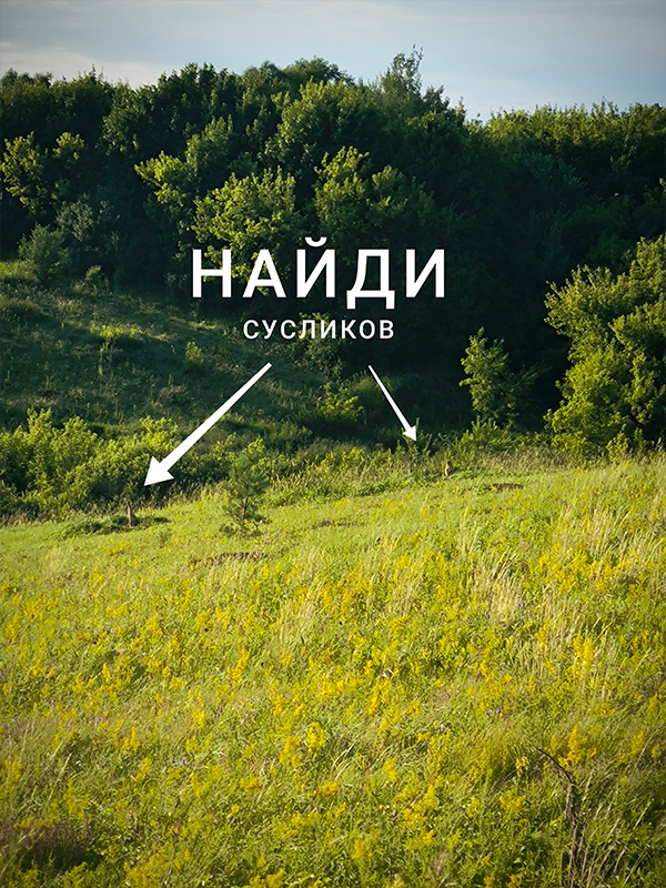 04.jpg
