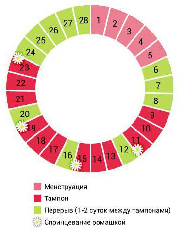 Применение_фитотампонов до и после менструации