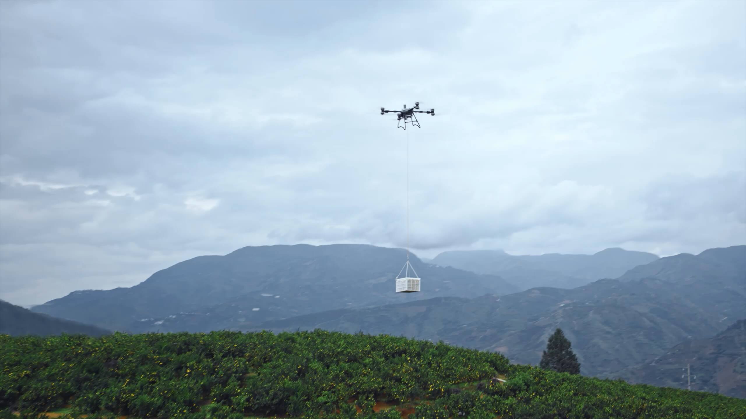 DJI Agras T100 (35).jpg