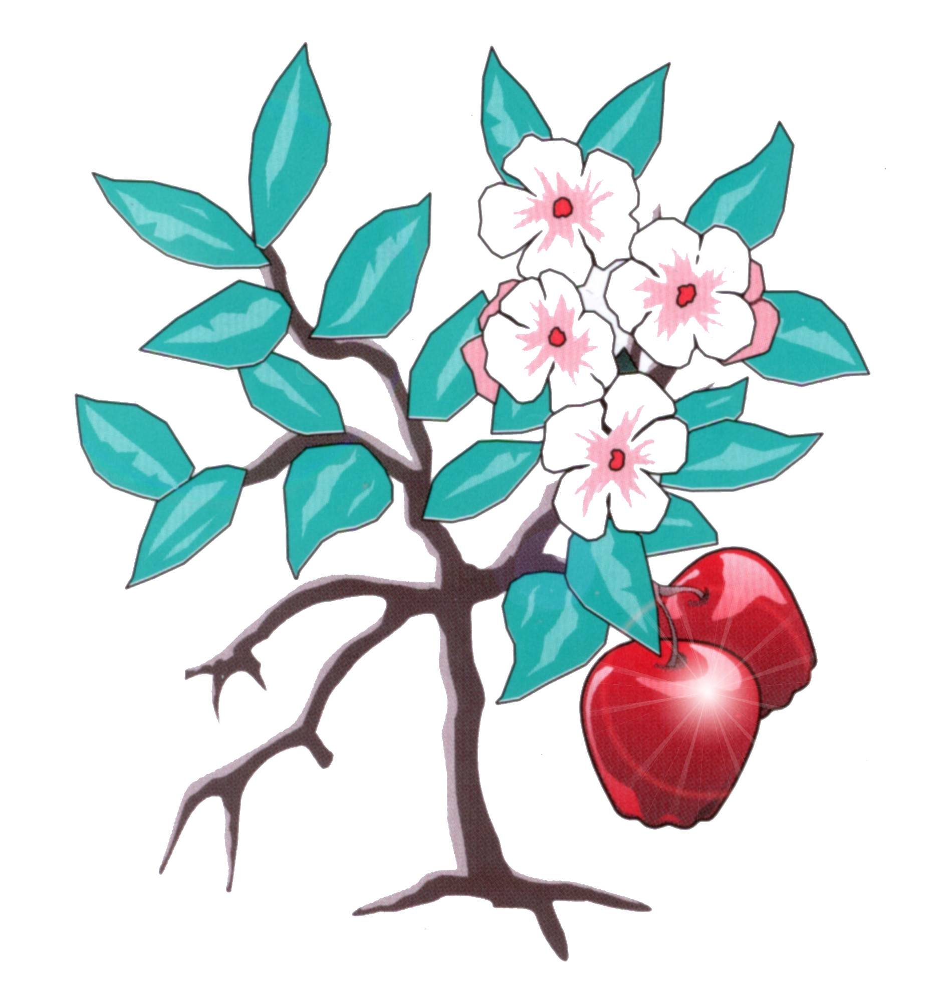 Центр социальной реабилитации наркозависимых Страна Живых