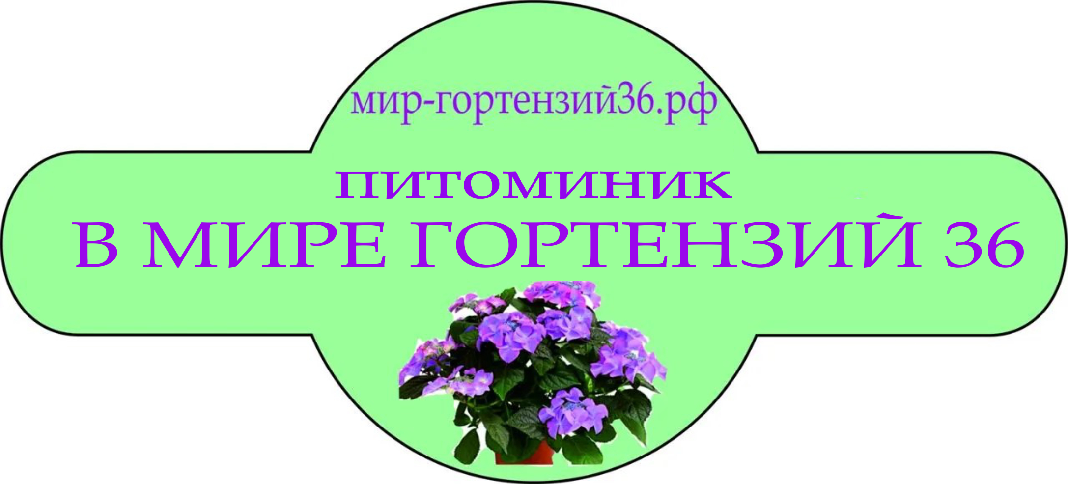Питомник МИР гортензий 36