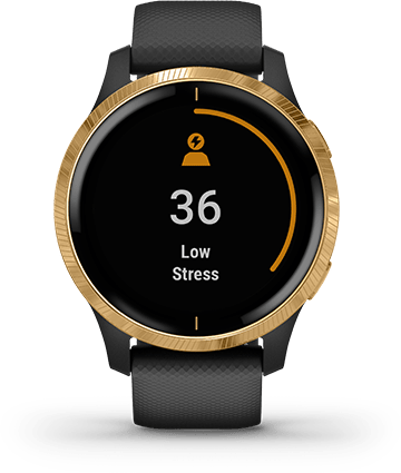 Умные часы Garmin Venu черные с золотистым безелем: МОНИТОРИНГ СТРЕССА
